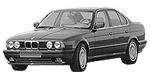 BMW E34 U2039 Fault Code